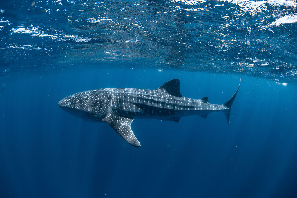 e2e44c9e-1c46-408a-b3d6-9f908681dc23