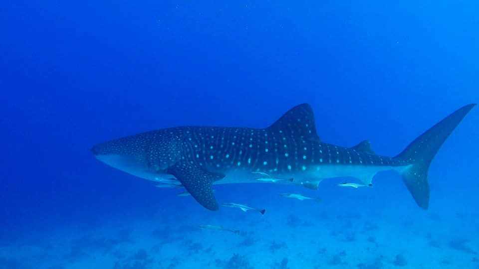 7c2d14e9-bf2f-4bc3-b21f-f029476188a6