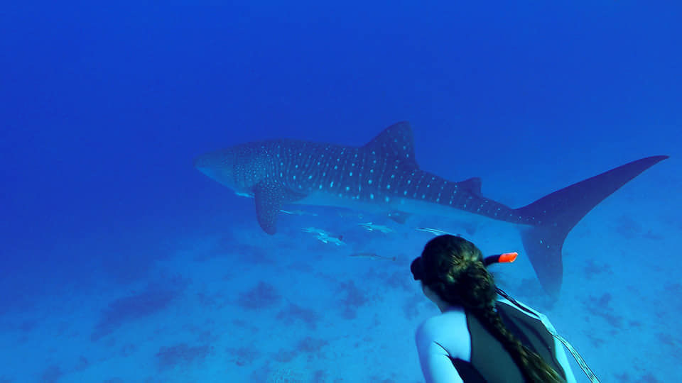 7c2d14e9-bf2f-4bc3-b21f-f029476188a6