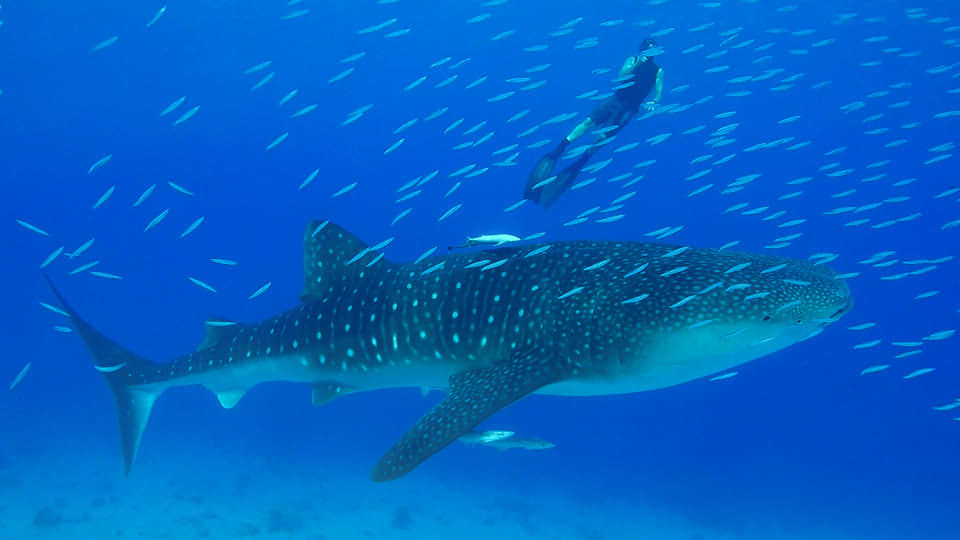 7c2d14e9-bf2f-4bc3-b21f-f029476188a6