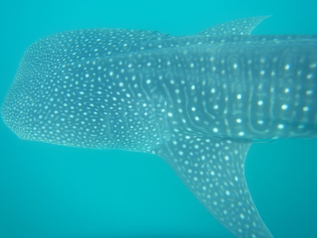 e6eee9fc-0a8f-4318-90cb-7d4eacc8ff67