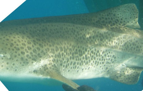 bb113dfa-abf0-467b-8efc-91c34b079db0