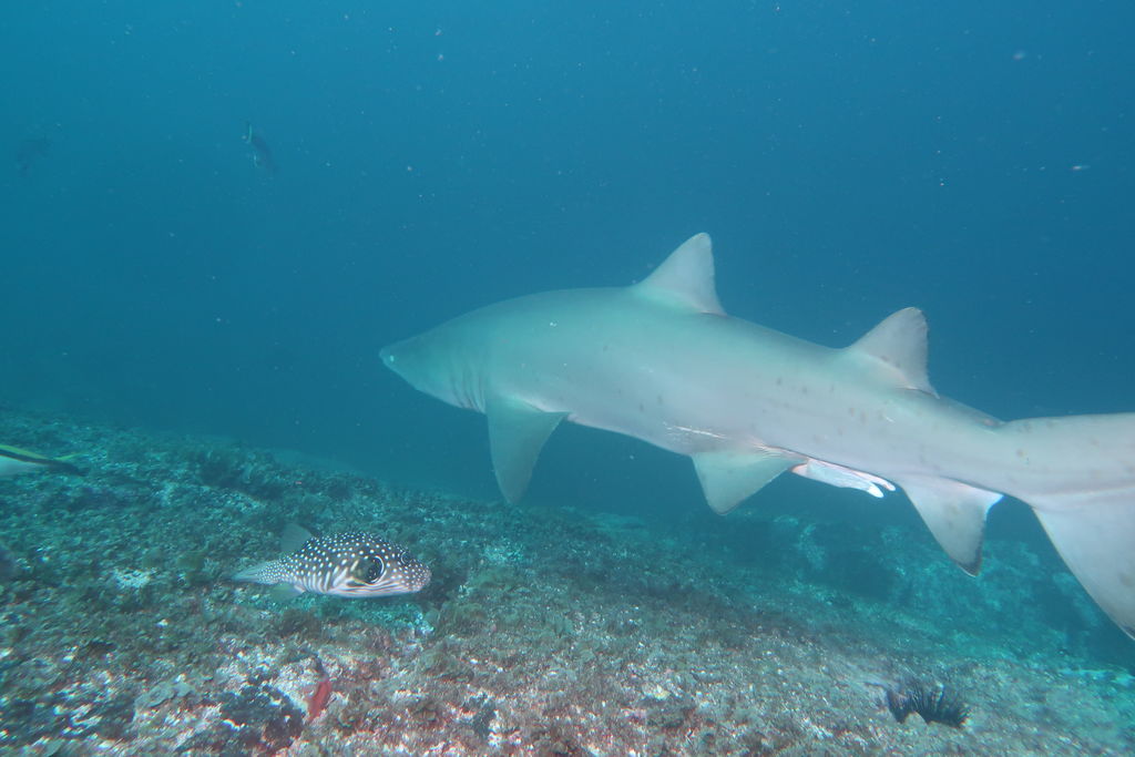 27a989b4-a209-4ff2-86f4-ee6f376c7763