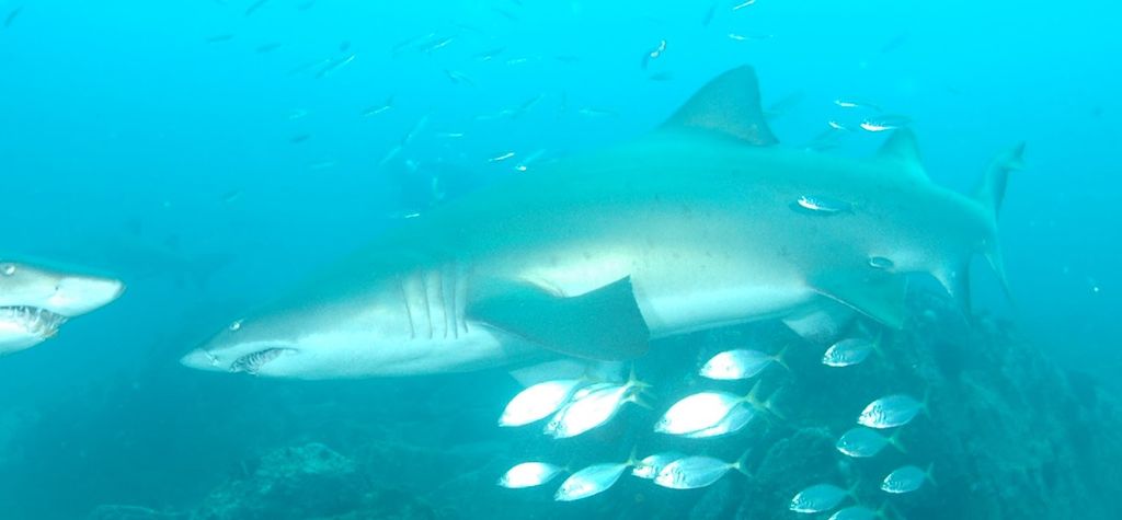 58bda85c-480e-4358-9cbb-10d19167b84a