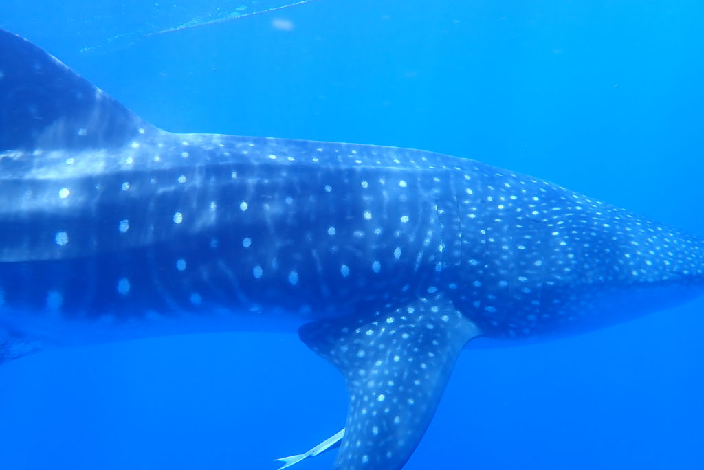 812c85b4-b586-48bb-bb6f-409704b6ac63