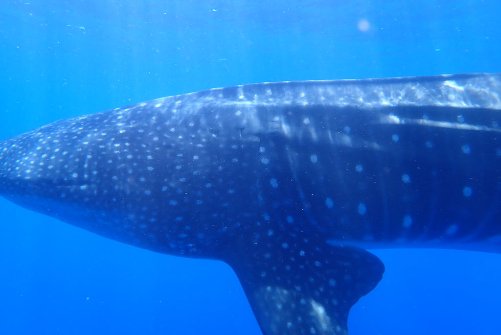 812c85b4-b586-48bb-bb6f-409704b6ac63