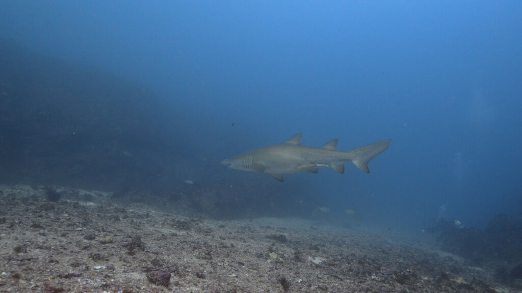 e34ec4b4-721e-4133-b861-aac00e9d2c14