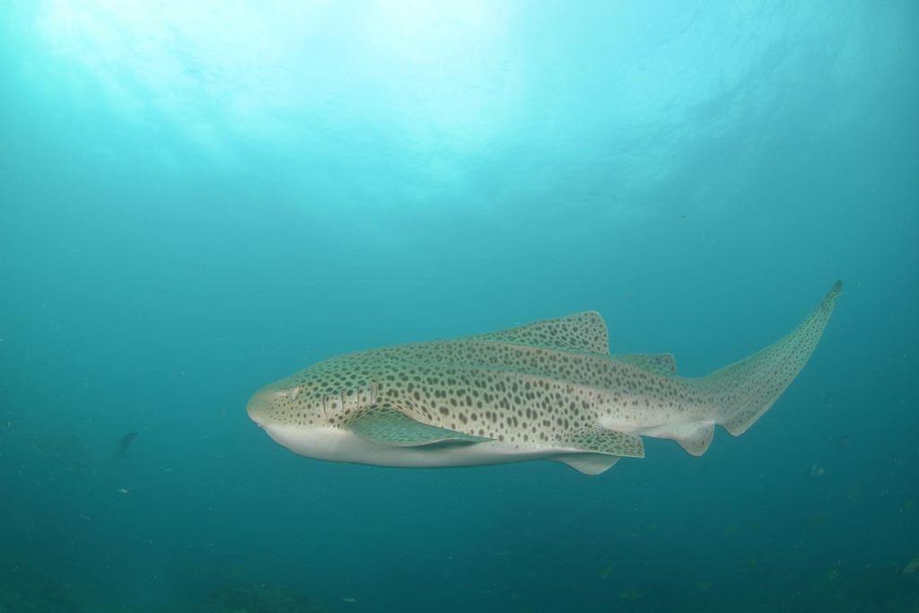 ac4ff84b-d4d0-460d-b267-4dfc0f049512