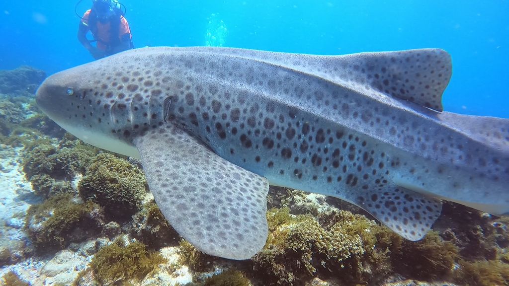 f09d9870-7c79-4cf2-b71c-9cd222186569