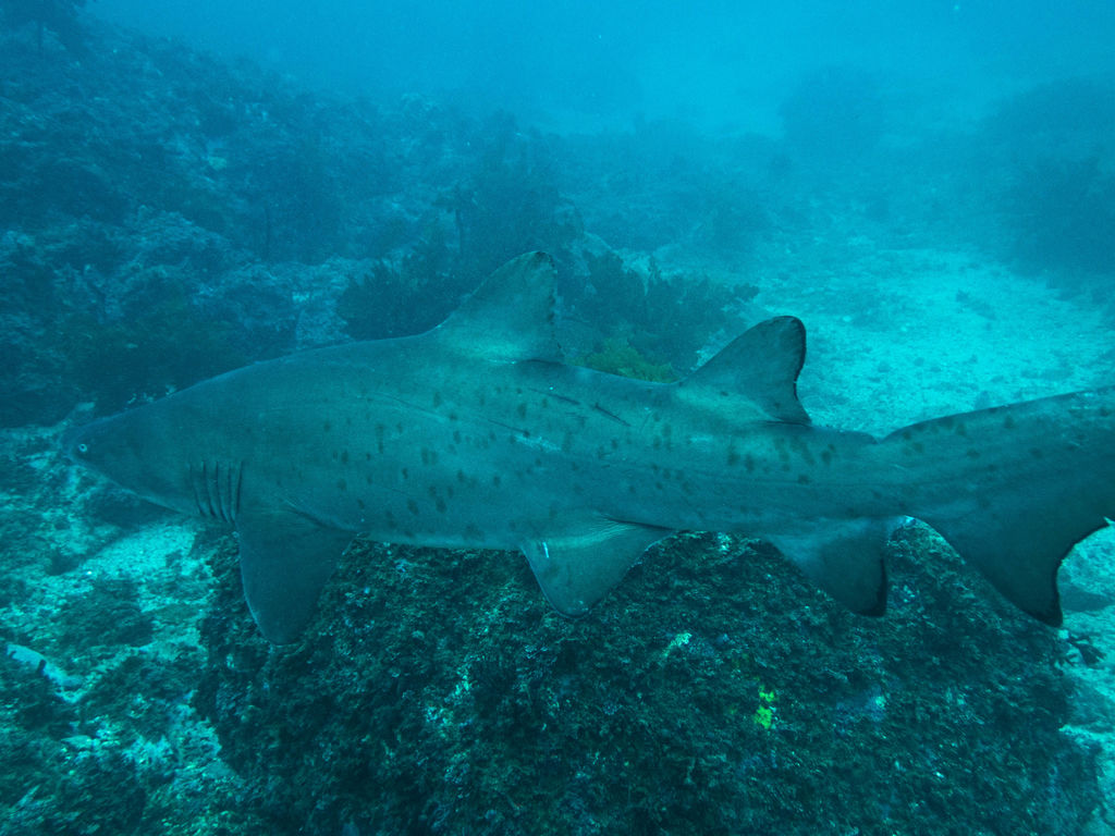 eca169eb-1c7f-4570-b660-6ecb947eee8c