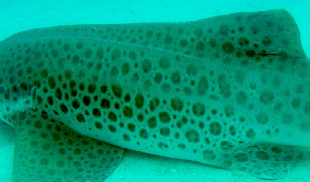 b905ee7e-6ad3-42b2-89ca-13c635611a1e