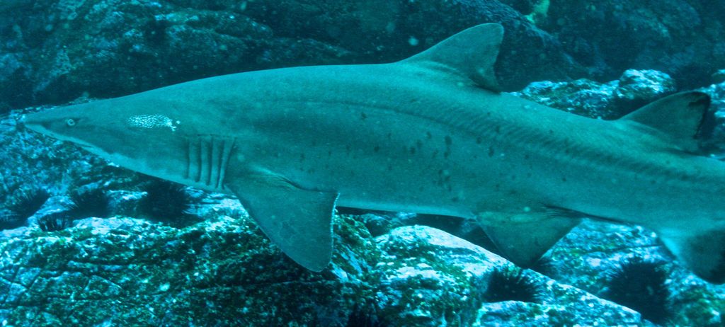 f54c5efc-4d49-4815-b860-4c74f96bf8e5