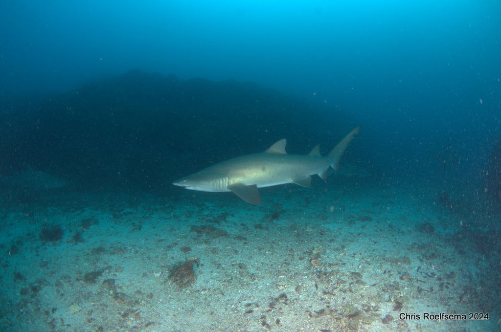 3dbe4add-252f-4d0f-8d44-9aef5e53ef69