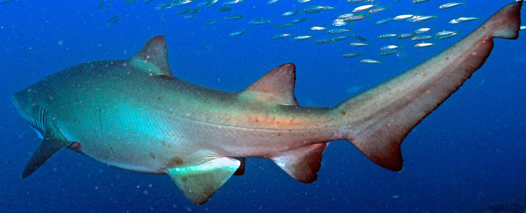 bf2e3d3c-c656-487e-b427-d841372d40b6