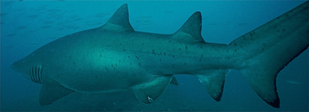 e9ebdcb7-12c1-4bb7-be53-9e6c303e0ec6