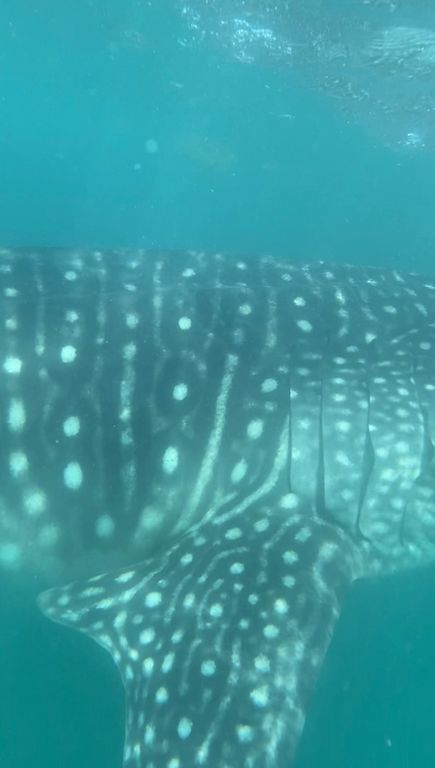 1973e462-c8cc-4b9f-b1cf-458e0be58d8c