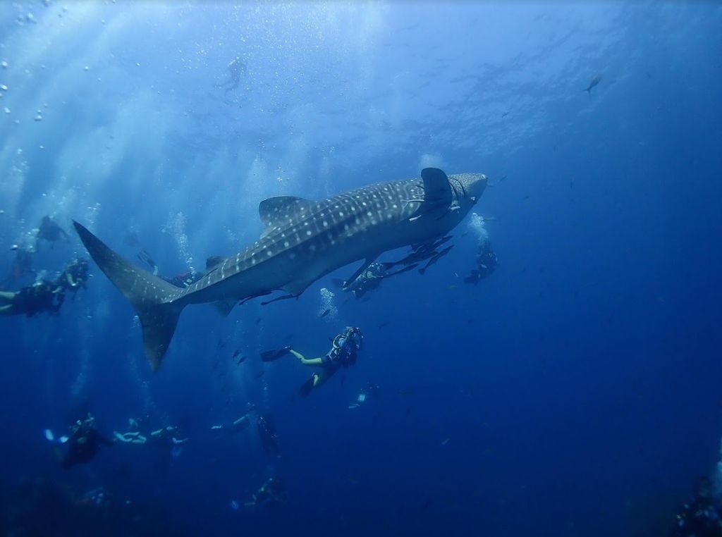 4a48ebe6-b5b0-40ec-b296-dd2a4ebe4ecd