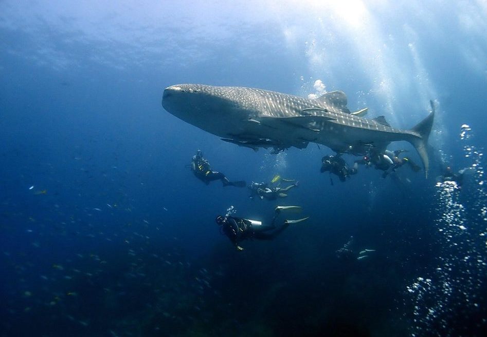 4a48ebe6-b5b0-40ec-b296-dd2a4ebe4ecd