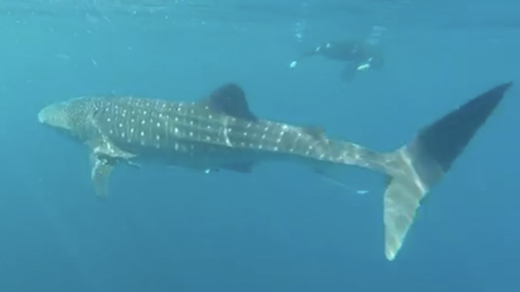 9260ab47-09fe-426c-871e-a1f507d85fad