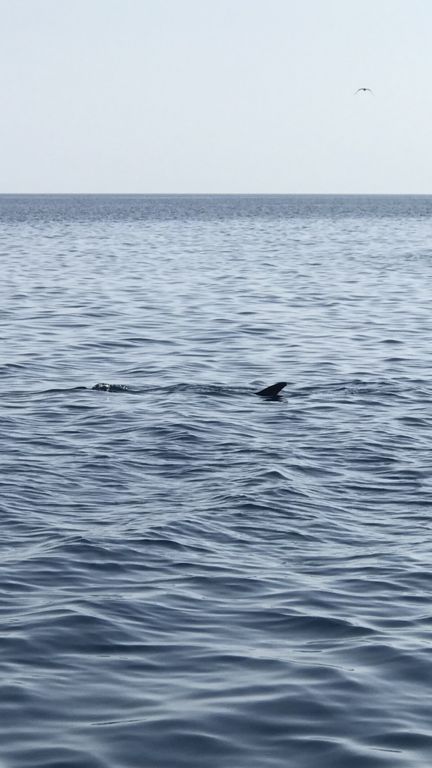 9260ab47-09fe-426c-871e-a1f507d85fad