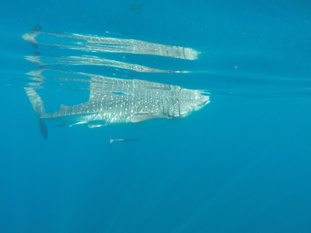 9260ab47-09fe-426c-871e-a1f507d85fad