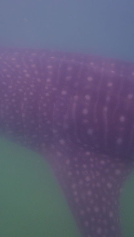 3c75c554-14a9-4d11-8cf9-38291e07be2d