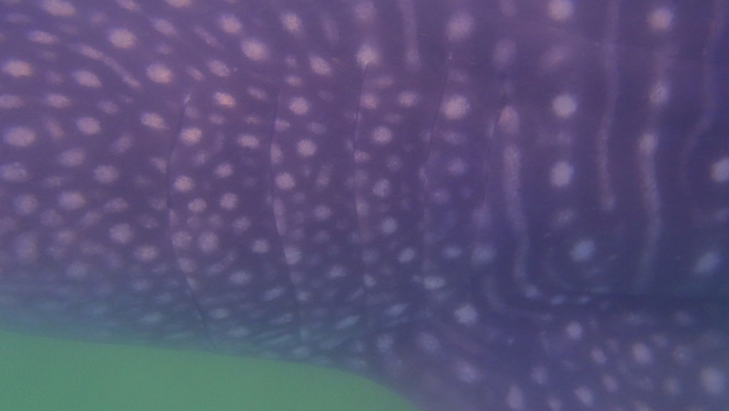 3c75c554-14a9-4d11-8cf9-38291e07be2d