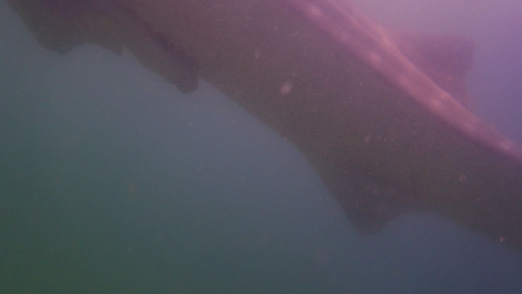 3c75c554-14a9-4d11-8cf9-38291e07be2d