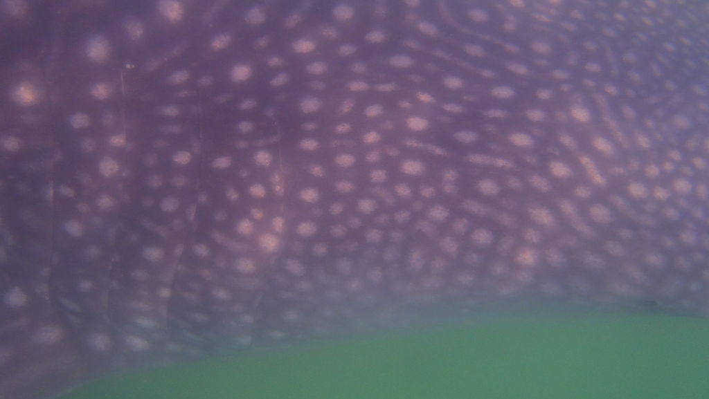 3c75c554-14a9-4d11-8cf9-38291e07be2d