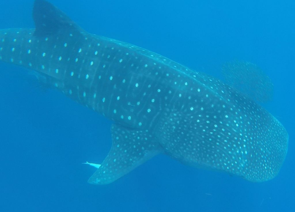 f6bc7f5f-128c-40e1-8ed0-6ed9e3b69874