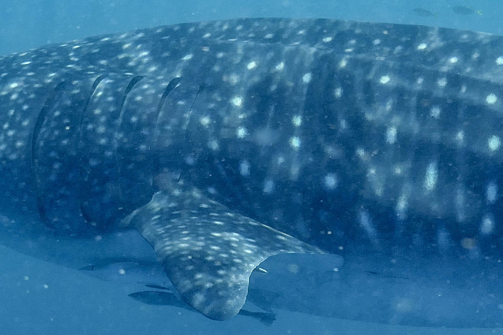 9cb3eb86-7403-41f1-acfa-f1e6e7014e21