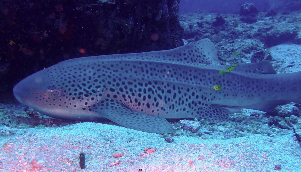 434b9435-747e-401b-b310-c3e9177aa84f