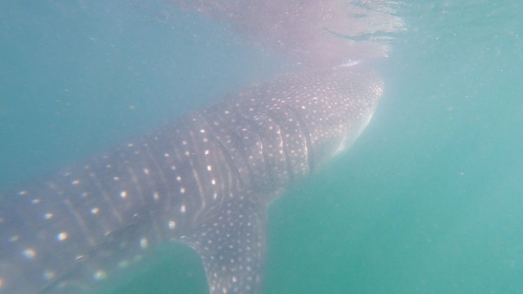 e304d69d-feb8-4453-91fc-4499d3e2c771