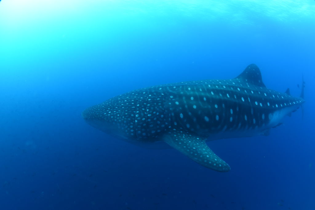 19c7544f-7991-45f0-a503-201b050aeed7