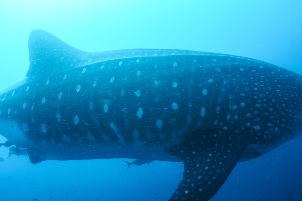 19c7544f-7991-45f0-a503-201b050aeed7