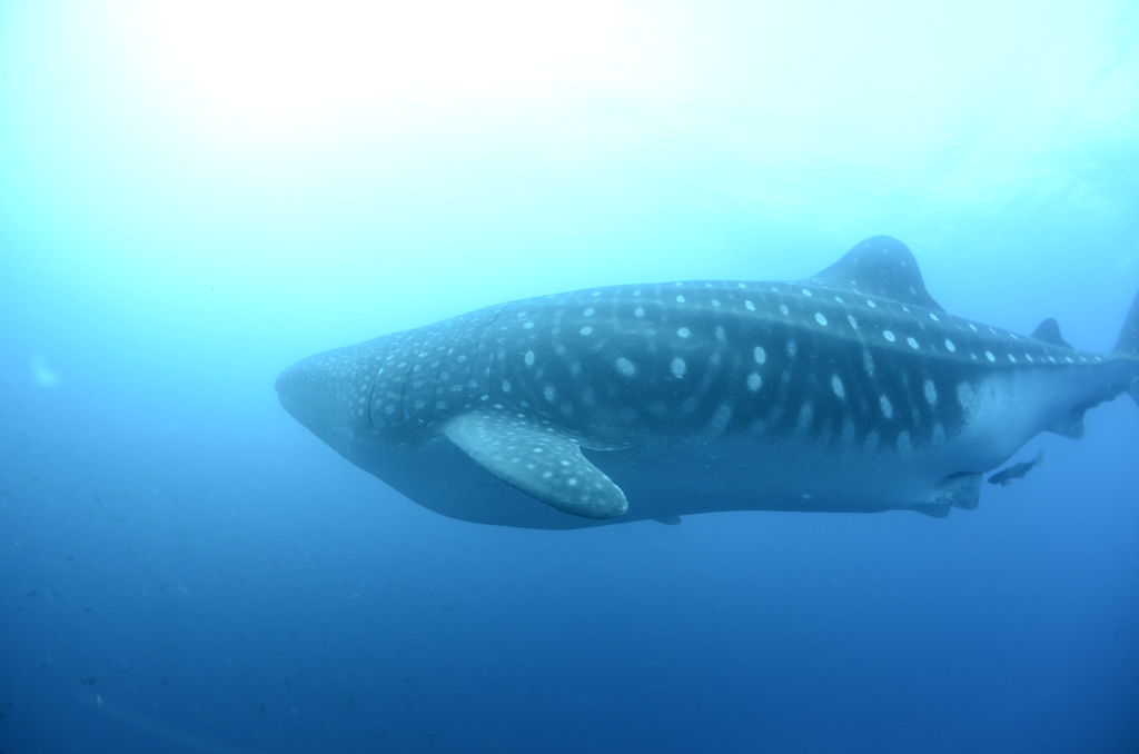 19c7544f-7991-45f0-a503-201b050aeed7