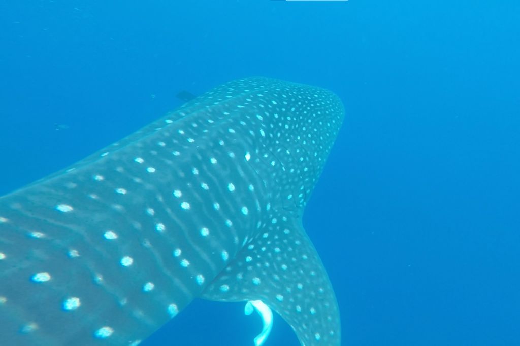 54656618-5c89-4854-94c1-5683321520aa