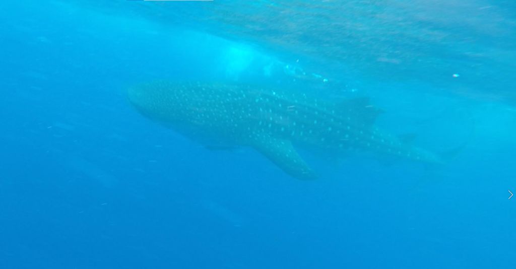 54656618-5c89-4854-94c1-5683321520aa