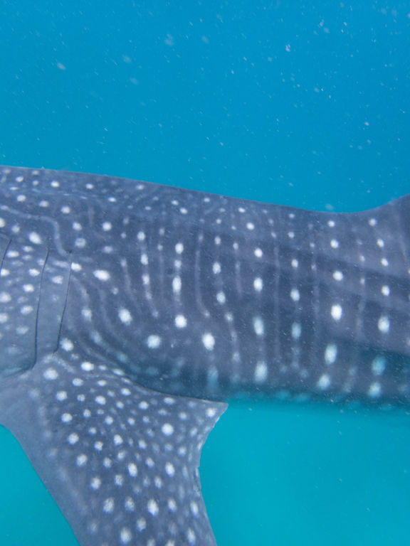 106bc7d1-e52c-4ab9-ac22-bbea1dbc1dd2