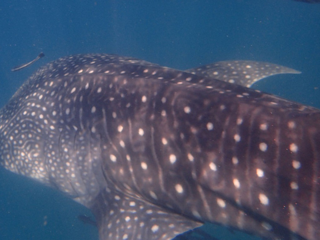 1d90ef23-88e6-428e-9c5c-d39a6a621adb