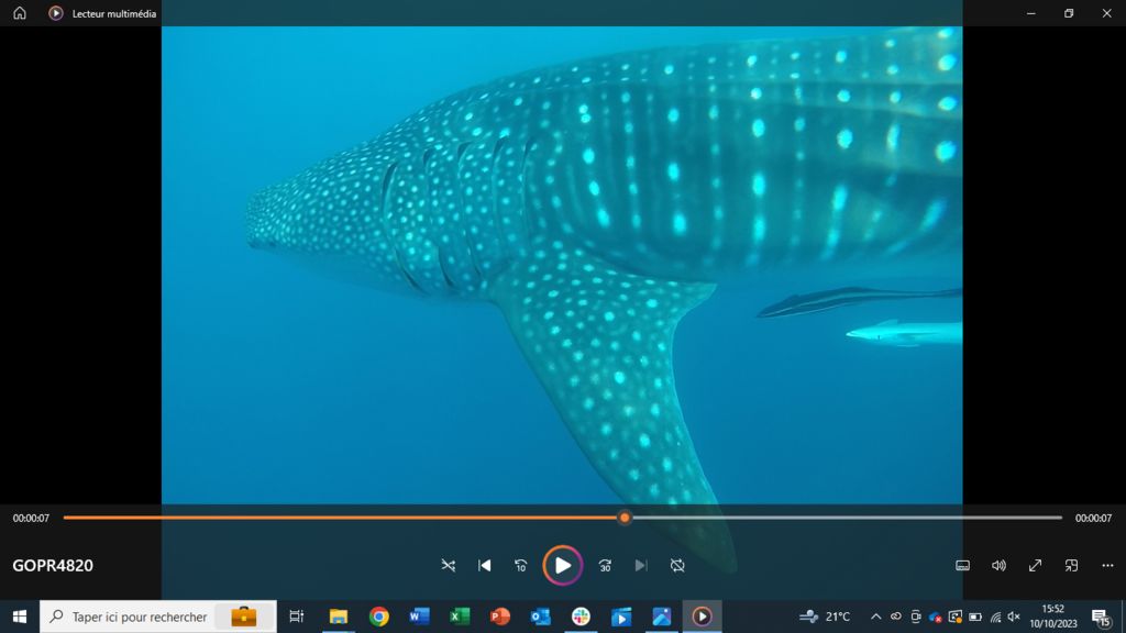 526fb952-161a-40f8-a984-941600f37a8f