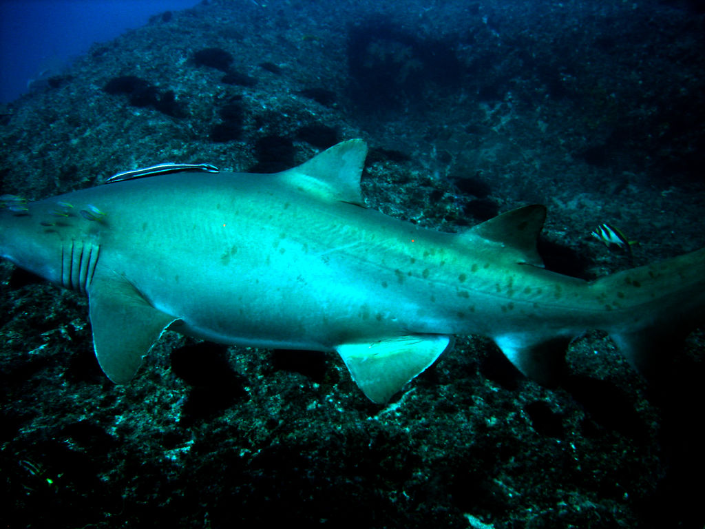 a9e1b715-29c9-4fba-b27a-e525ef12b5fa