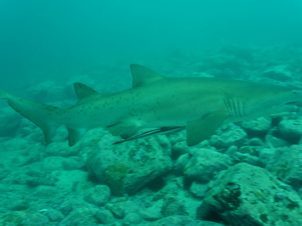 9095aa25-bf24-46d5-8c1a-cd38b8cd1e57