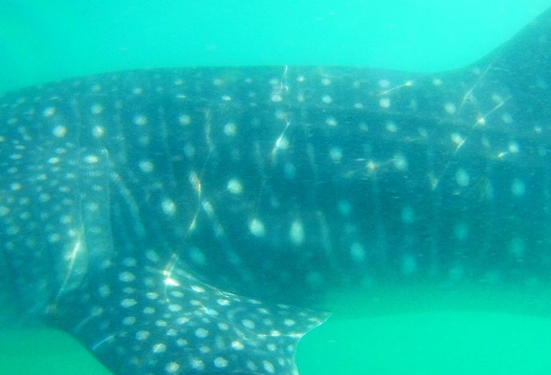 e28cb3f6-3c82-4837-a71b-71bebbd13175