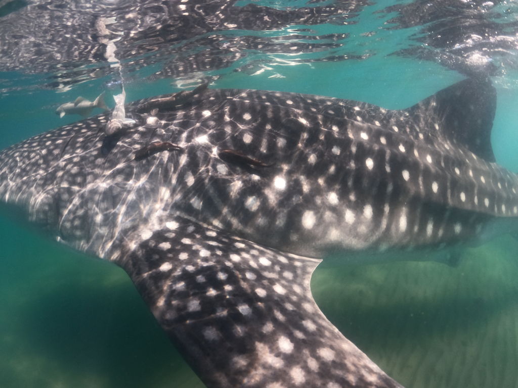 84cd72fd-c582-4314-b736-45d936f0c7a5