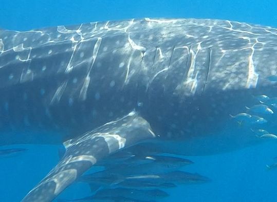 9220f584-bb47-4c68-970a-4355e05d83a6