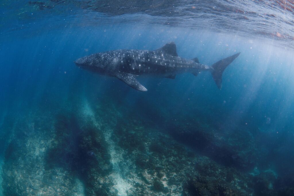 7a0c9c8f-09de-48e4-b0d2-b6c69ae6c927