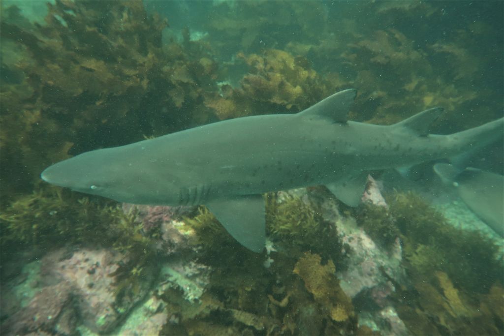 4c8c7576-f10f-4f72-8c92-8a9f4a95afdd