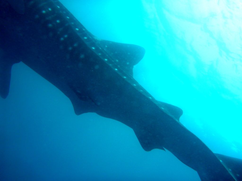 48ab9a02-1d94-4f8c-a634-ec0864449ef7