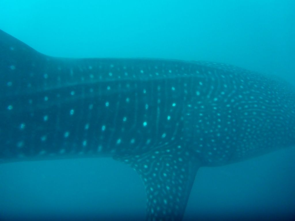 48ab9a02-1d94-4f8c-a634-ec0864449ef7